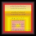 Dr fatima 01 * 22.03.2008 * 421 x 785 * (42KB)